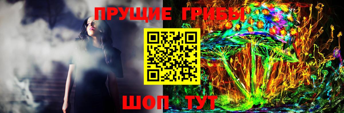 Галлюциногенные грибы Cubensis Мурино